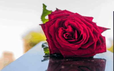 Funeral Etiquette: 15 Tips for Attending a Funeral