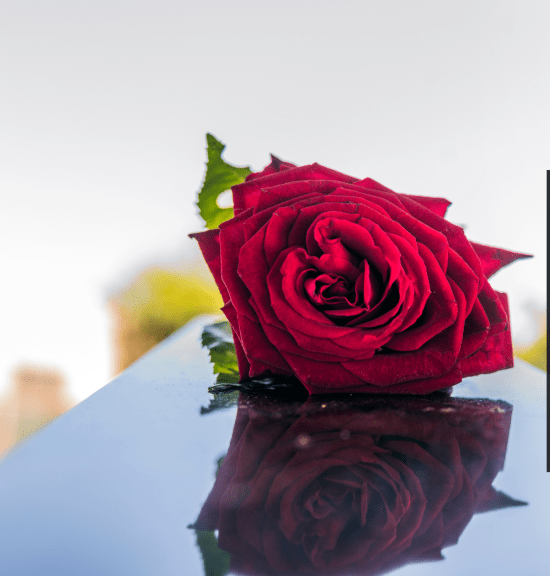 Funeral Etiquette by Jon Matson-Higgins, Minister & Celebrant