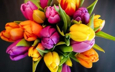 Who is Responsible for Arranging a Funeral?